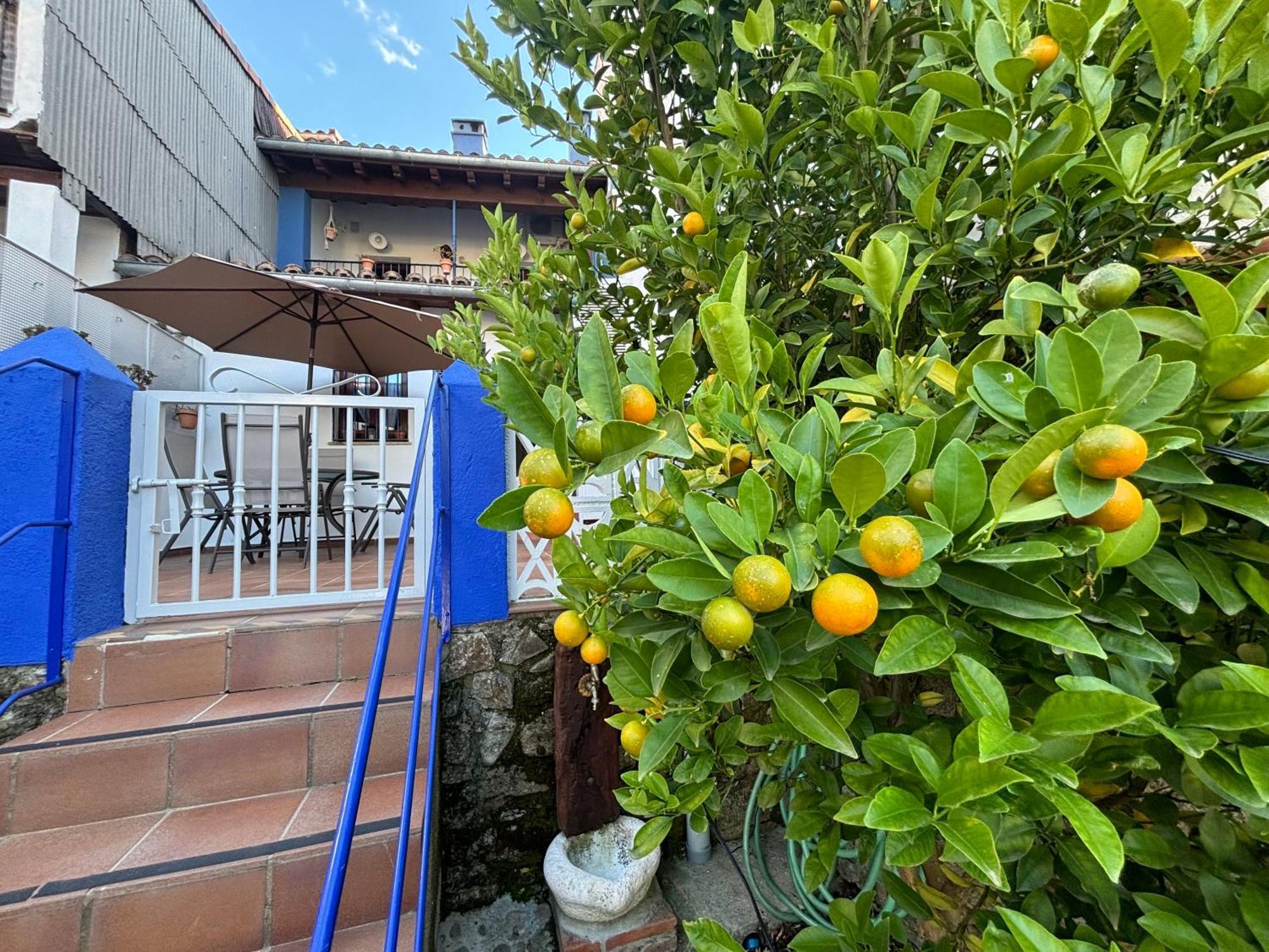 Alborada Apartamentos Rurales Hervás Екстериор снимка